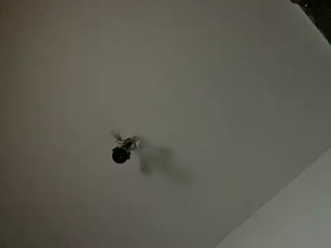 rascoo90 online show from July 2026 09:35:01 PM