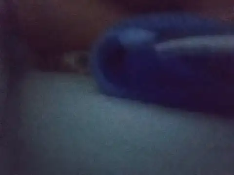 Chinitabella88 online show from August 2026 02:43:01 AM