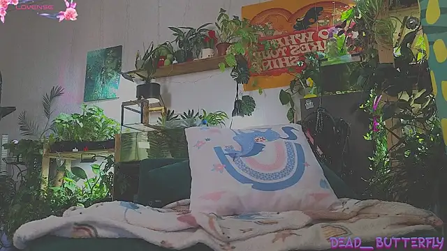 Dead Butterfly online show from March 2025 04:24:01 AM