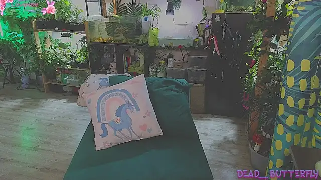 Dead Butterfly online show from March 2025 03:33:02 AM