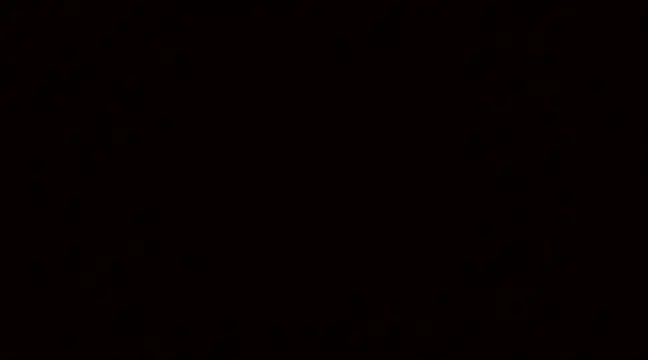 Blackswinger online show from March 2025 09:51:01 AM