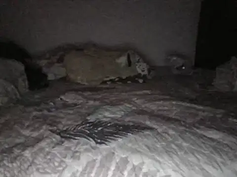 Snapshot of bscc chatting on January 2025 12:07:02 PM bscc online show from January 2025 12:07:02 PM