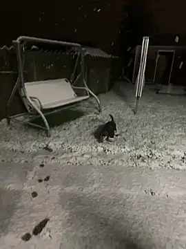 Snapshot of DannaaMeliza chatting on January 2025 10:20:01 AM DannaaMeliza online show from January 2025 10:20:01 AM