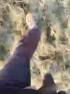 ThethunderPo online show from December 2024 03:07:02 AM