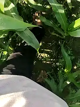 ThethunderPo online show from March 2025 02:48:01 AM