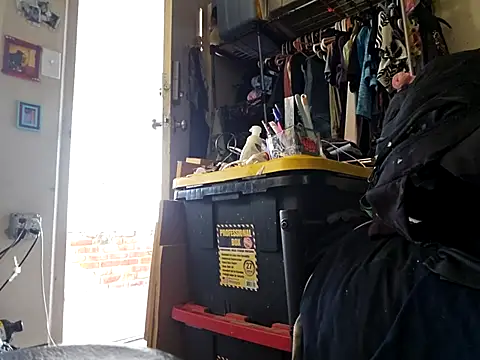 Snapshot of UncutHammer69 chatting on January 2026 08:00:02 PM UncutHammer69 online show from January 2026 08:00:02 PM