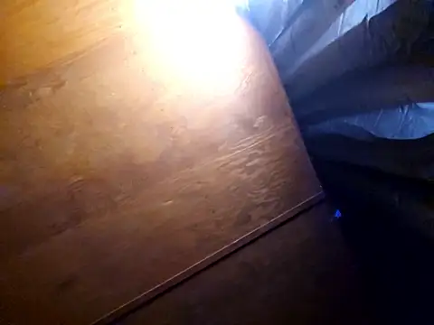 Snapshot of UncutHammer69 chatting on February 2026 03:29:02 PM UncutHammer69 online show from February 2026 03:29:02 PM