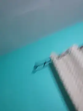 HONEYSWEETS LIVE online show from January 2026 03:34:02 AM