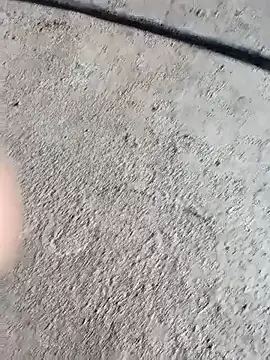 Snapshot of Bengali_BULL1 chatting on October 2025 05:05:01 AM Bengali BULL1 online show from October 2025 05:05:01 AM