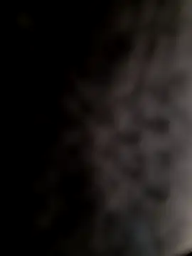 mogli444 online show from December 2024 01:03:01 PM