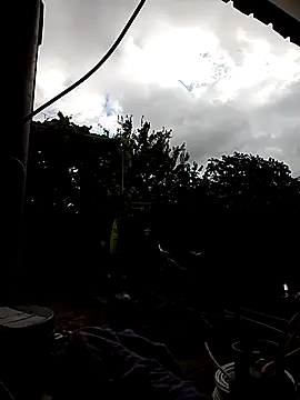 sarpe4 online show from October 2025 07:18:01 AM