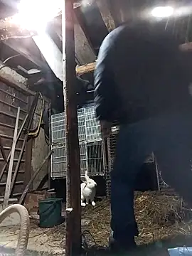 sarpe4 online show from February 2026 04:14:01 PM