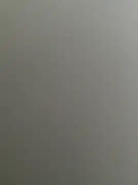 Bull8 online show from February 2025 09:32:01 AM