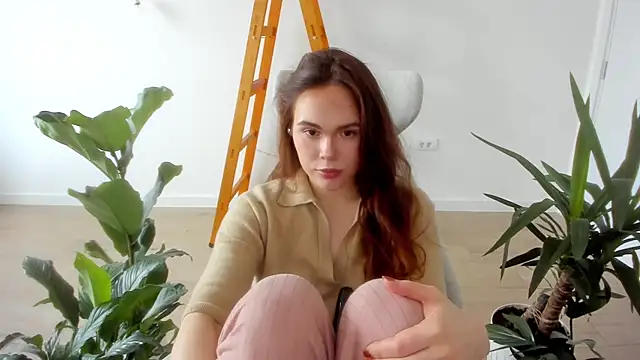 Pokemeboy online show from December 2024 10:49:01 AM