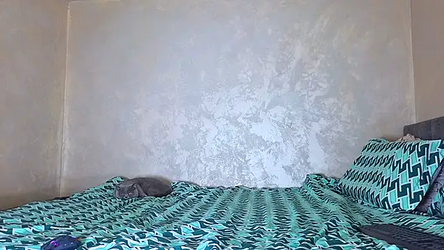 Snapshot of angeliquevany chatting on October 2025 02:14:01 PM angeliquevany online show from October 2025 02:14:01 PM