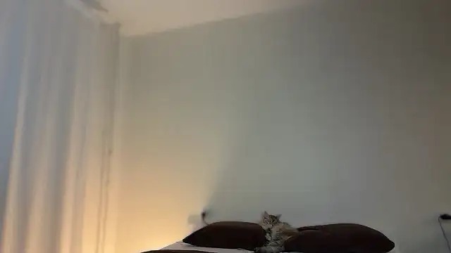 Milky   Way online show from January 2026 01:57:02 PM