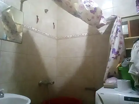 wa379 online show from April 2026 09:37:01 PM