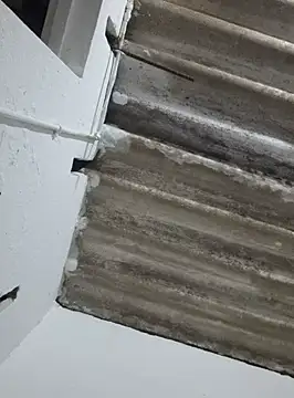 Snapshot of DAELAA chatting on February 2025 01:54:02 AM DAELAA online show from February 2025 01:54:02 AM