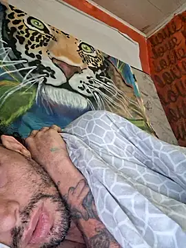 Toycockhot online show from November 2025 01:32:01 PM