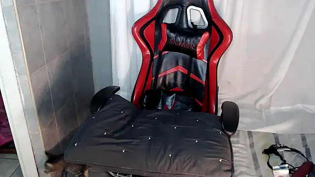 Snapshot of AyantiPonz79 chatting on February 2025 03:37:01 AM AyantiPonz79 online show from February 2025 03:37:01 AM