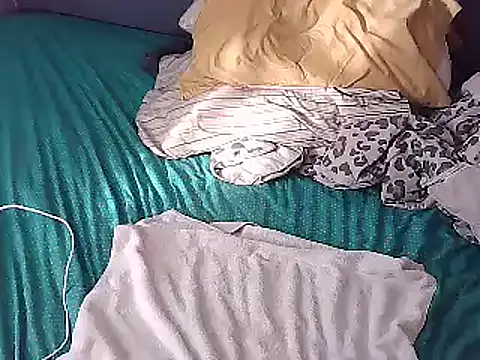 Snapshot of k-dong chatting on December 2024 02:27:02 PM k-dong online show from December 2024 02:27:02 PM