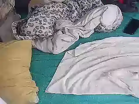 Snapshot of k-dong chatting on December 2024 09:25:02 PM k-dong online show from December 2024 09:25:02 PM