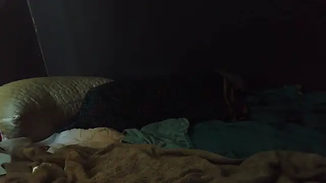 k-dong online show from February 2026 04:49:01 PM