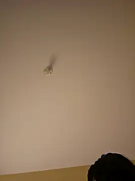 Latin summer online show from January 2026 02:03:02 AM