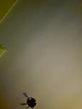 Snapshot of NiceHunter89 chatting on January 2025 01:11:01 AM NiceHunter89 online show from January 2025 01:11:01 AM