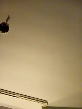 Snapshot of NiceHunter89 chatting on January 2025 02:45:02 AM NiceHunter89 online show from January 2025 02:45:02 AM