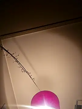 Snapshot of NiceHunter89 chatting on February 2025 10:22:02 PM NiceHunter89 online show from February 2025 10:22:02 PM