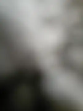 Snapshot of NiceHunter89 chatting on September 2025 02:50:01 PM NiceHunter89 online show from September 2025 02:50:01 PM