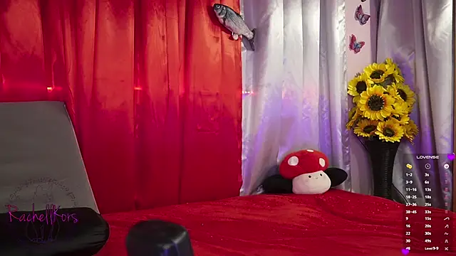 Snapshot of Rachellkors chatting on February 2025 11:34:02 AM Rachellkors online show from February 2025 11:34:02 AM