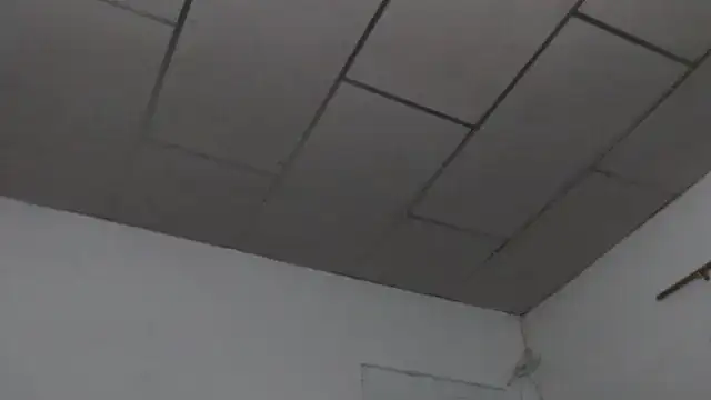 Snapshot of adrixxx38 chatting on March 2026 03:56:01 AM adrixxx38 online show from March 2026 03:56:01 AM