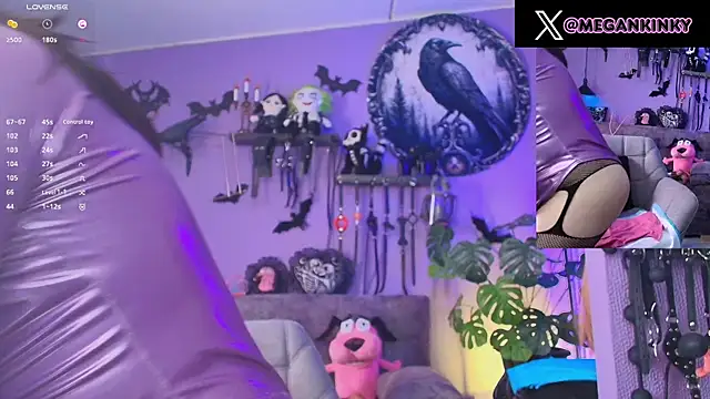 fetishkinkymeganx online show from July 2026 03:29:02 PM