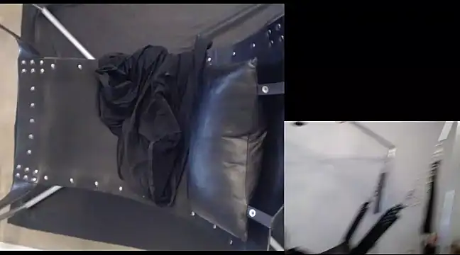 njdbear online show from December 2024 09:53:02 PM