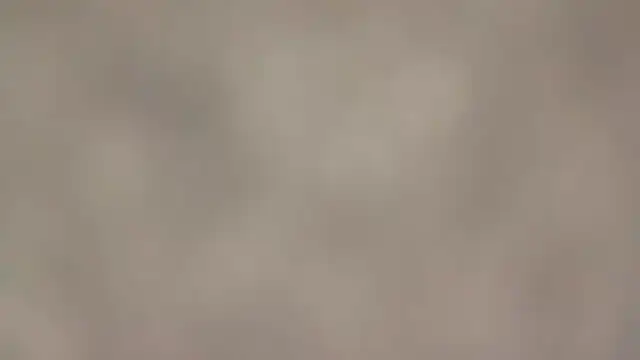 fmodel online show from September 2025 01:44:02 PM