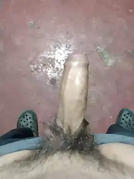 dickbastienweed online show from November 2025 01:26:01 AM