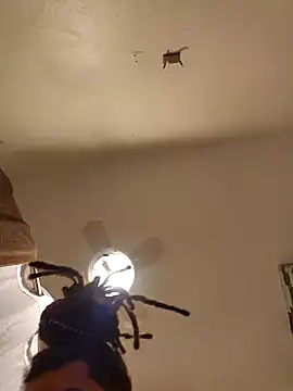 tropikboy online show from March 2025 09:58:02 AM