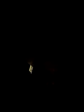 tropikboy online show from July 2026 12:41:02 AM