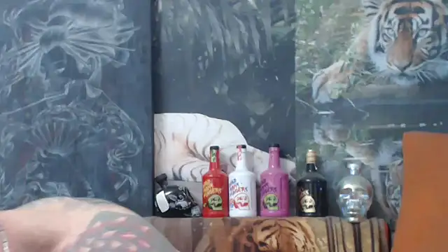 viking 30 online show from November 2025 07:51:01 AM