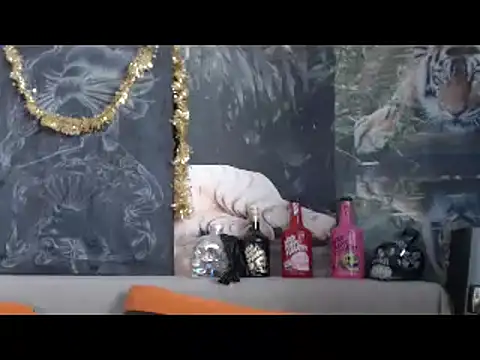 viking 30 online show from February 2026 06:48:02 AM