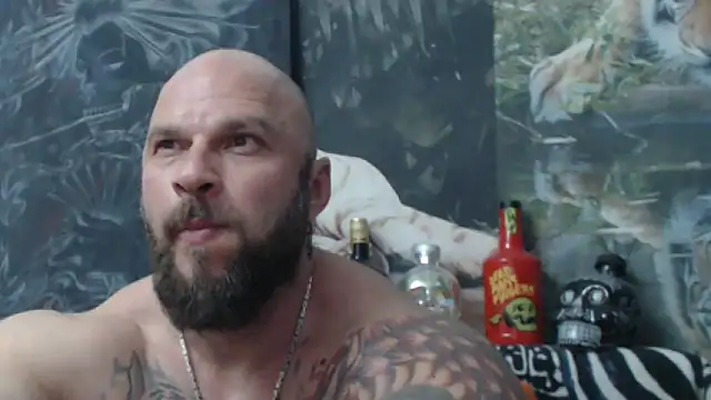 viking 30 online show from May 2026 06:36:01 PM