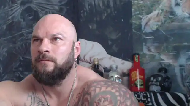 viking 30 online show from May 2026 06:42:01 AM
