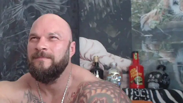 viking 30 online show from May 2026 10:19:02 AM