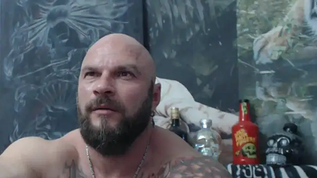 viking 30 online show from May 2026 05:53:01 PM