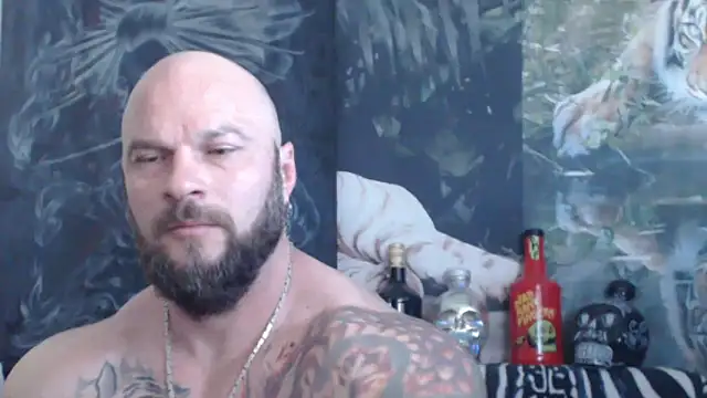 viking 30 online show from May 2026 06:10:02 AM