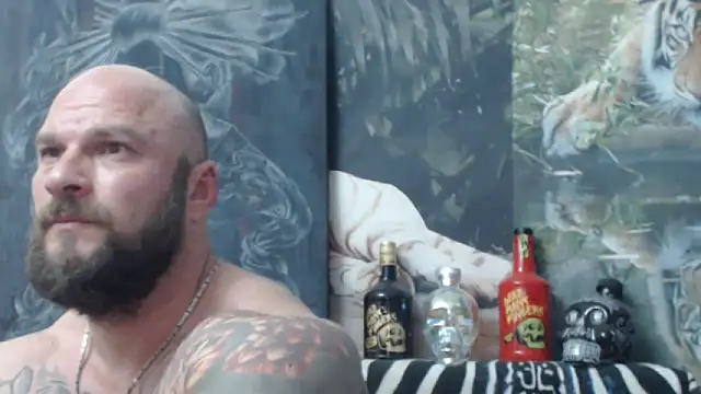 viking 30 online show from May 2026 06:38:02 PM