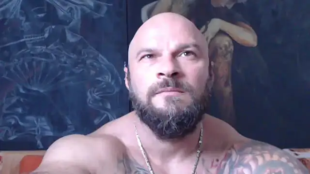 viking 30 online show from July 2026 06:00:01 AM