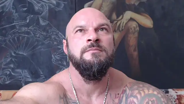 viking 30 online show from July 2026 11:41:01 AM